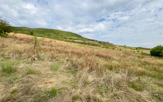 Teren 4.000 mp | Front Generos 47 ml | Utilități | La Asfalt | Cricău - Poză 5