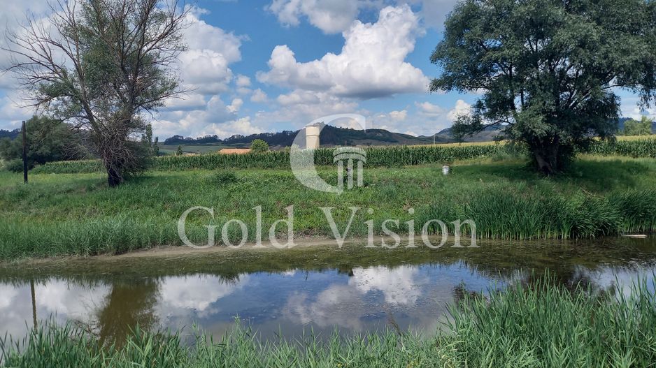 Teren Intravilan de 12.000 mp cu lac de 900mp,in Albesti-Sighisoara - Poză 2