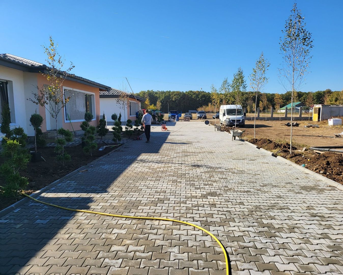 Moara Vlasiei | Padurea Branzeasca - Poză 2