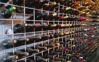 Vie Tradițională „Halta Lupilor” - Poză 25