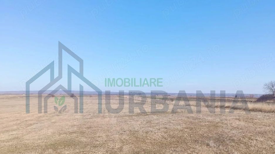 Teren arabil 1 ha în Cilibiu, Golaiesti - Poză 1