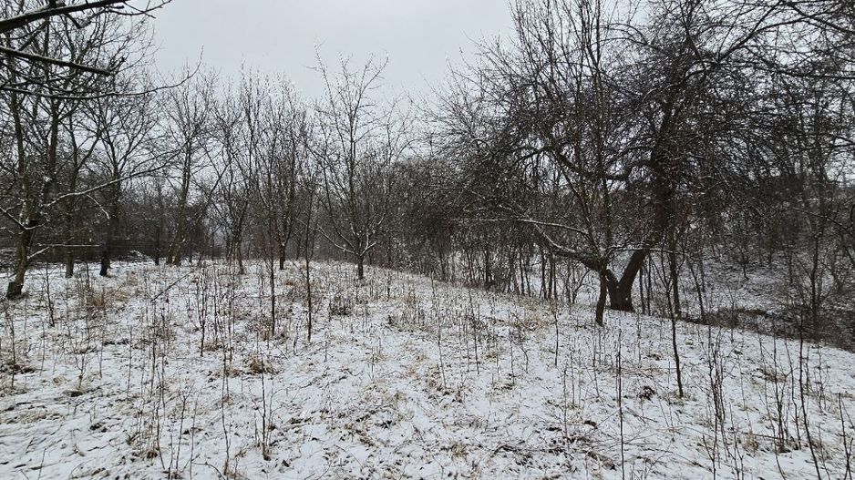 Casă și teren de vânzare în Colibași Dâmbovița Liniște Spațiu Natura - Poză 4