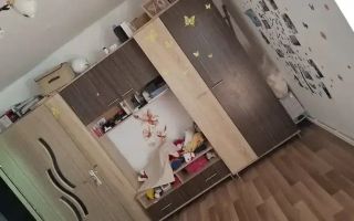 Apartament 3 camere  zona Lipovei - Poză 3