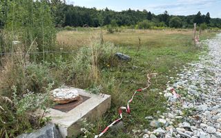Teren intravilan de vanzare I 1990 mp I Valea Avrigului – lângă Cabana Aris - Poză 8