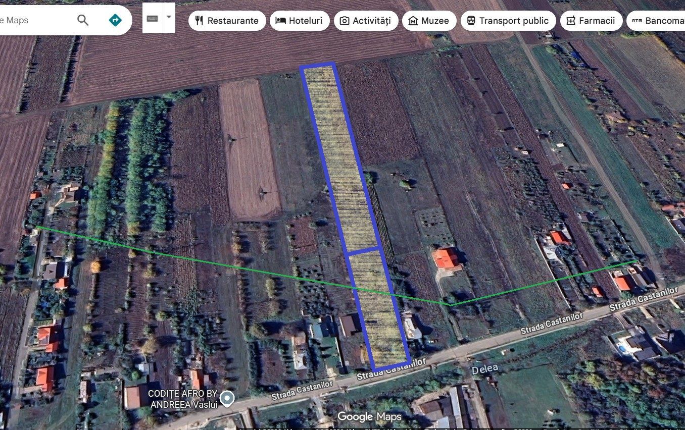 INVESTIȚIE - Teren 10.000 mp, intravilan + extravilan, str. CASTANILOR; - Poză 2