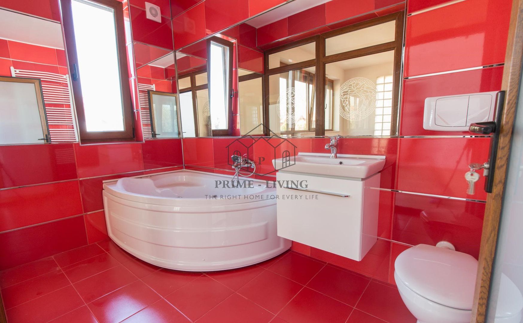 VILA CU 5 CAMERE LA INCHIRIERE IN IANCU NICOLAE - Poză 13