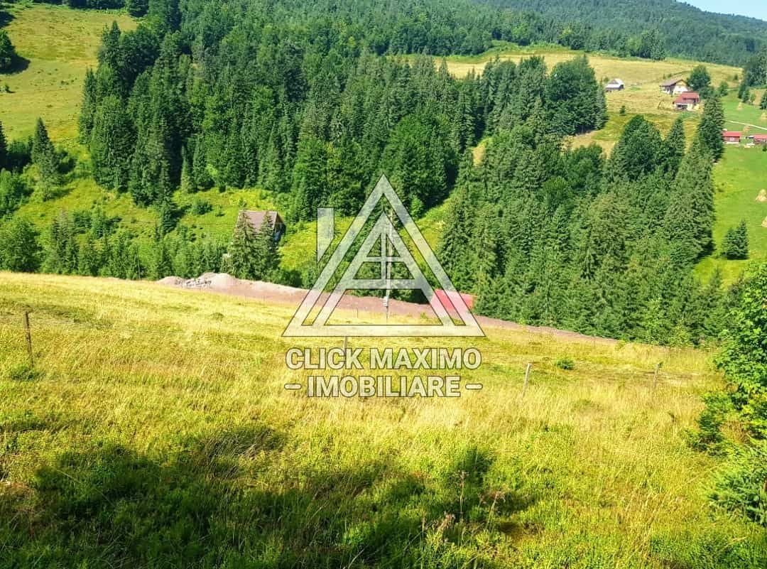 7130 mp TEREN INTRAVILAN ARIESENI-ALBA langa viitoarea partie de SCHI - Poză 4