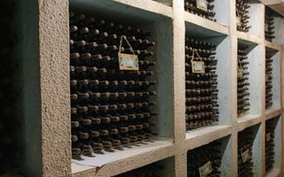 Vă invităm să investiți într-o afacere cu un raport de profitabilitate ridicat. - Poză 18