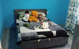 Casă P+1E, sat Păun, lângă pădure, 2 camere + etaj open-space, teren 300 mp, utilități complete - Poză 4