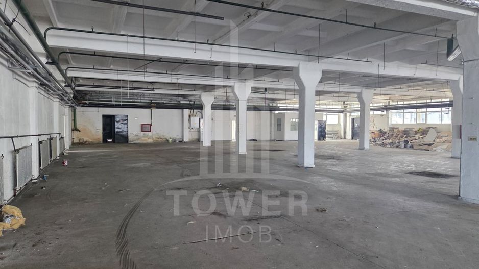 Hala generosa de închiriat . - Poză 7