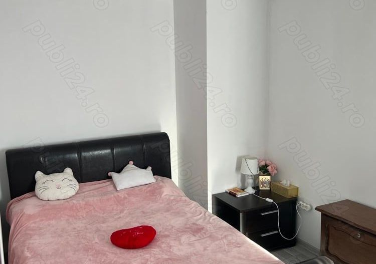 Apartament 2 camere de vânzare Tineretului - Poză 5