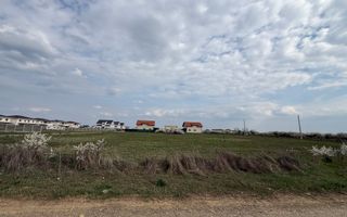 Teren SAD Mosnita Noua - Poză 4