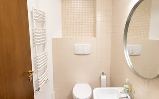 Herastrau - Aron Cotrus | 3 camere | Pet Friendly | 2 locuri de parcare + boxa - Poză 13