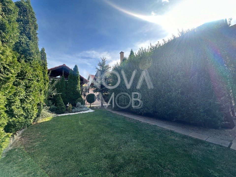 Casa individuala de vanzare - Sura Mare - Poză 5