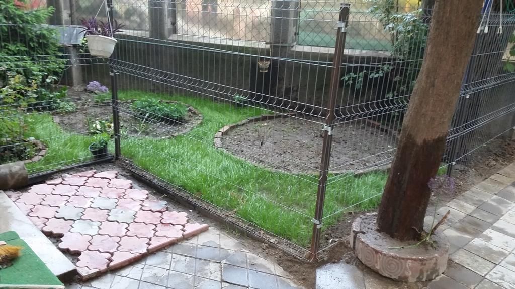 Casa Cotroceni | S+P+ET+POD | teren 188 mp - Poză 3