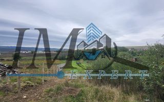TEREN INTRAVILAN DE VANZARE IN CUT - Poză 3