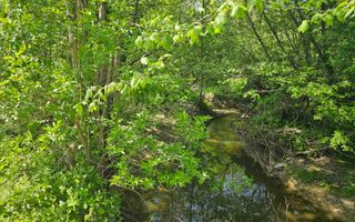 Teren intravilan | langa padure si parau | Luncani/Bacau - Poză 3