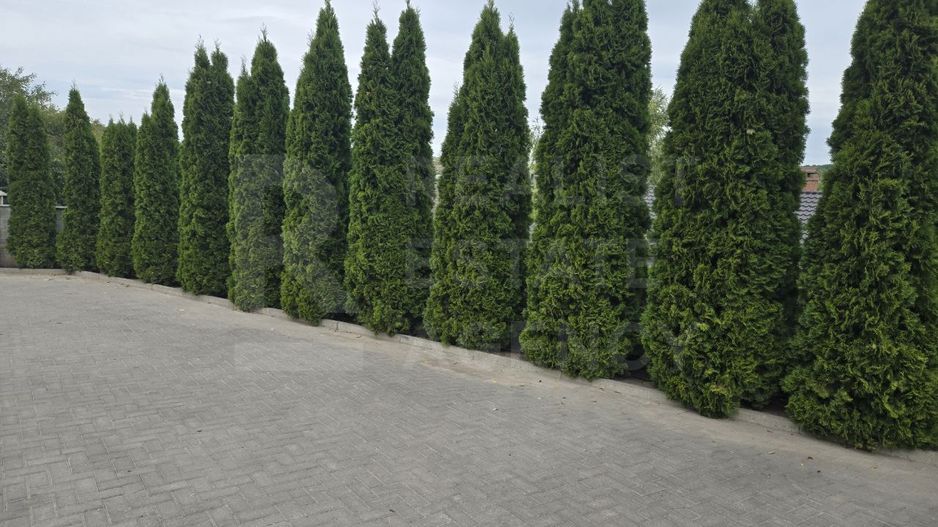 Vânzare, spațiu comercial, 237,9 mp, satului Siret. - Poză 8