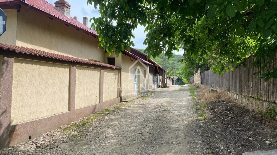 Domeniu 15.900 mp în Fințești | Casă + Investiție Dealu Mare - Poză 24