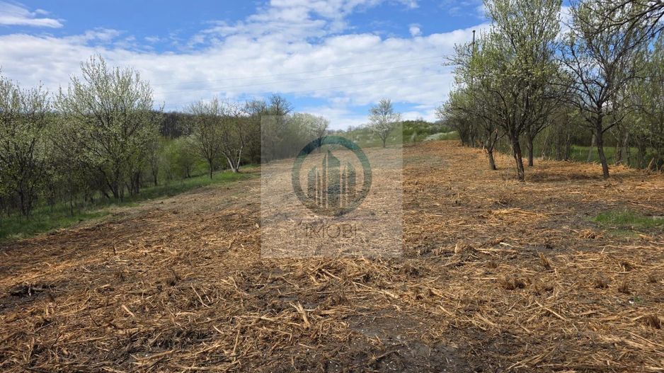 De vânzare teren intravilan – Bârsau, jud. Hunedoara - Poză 16