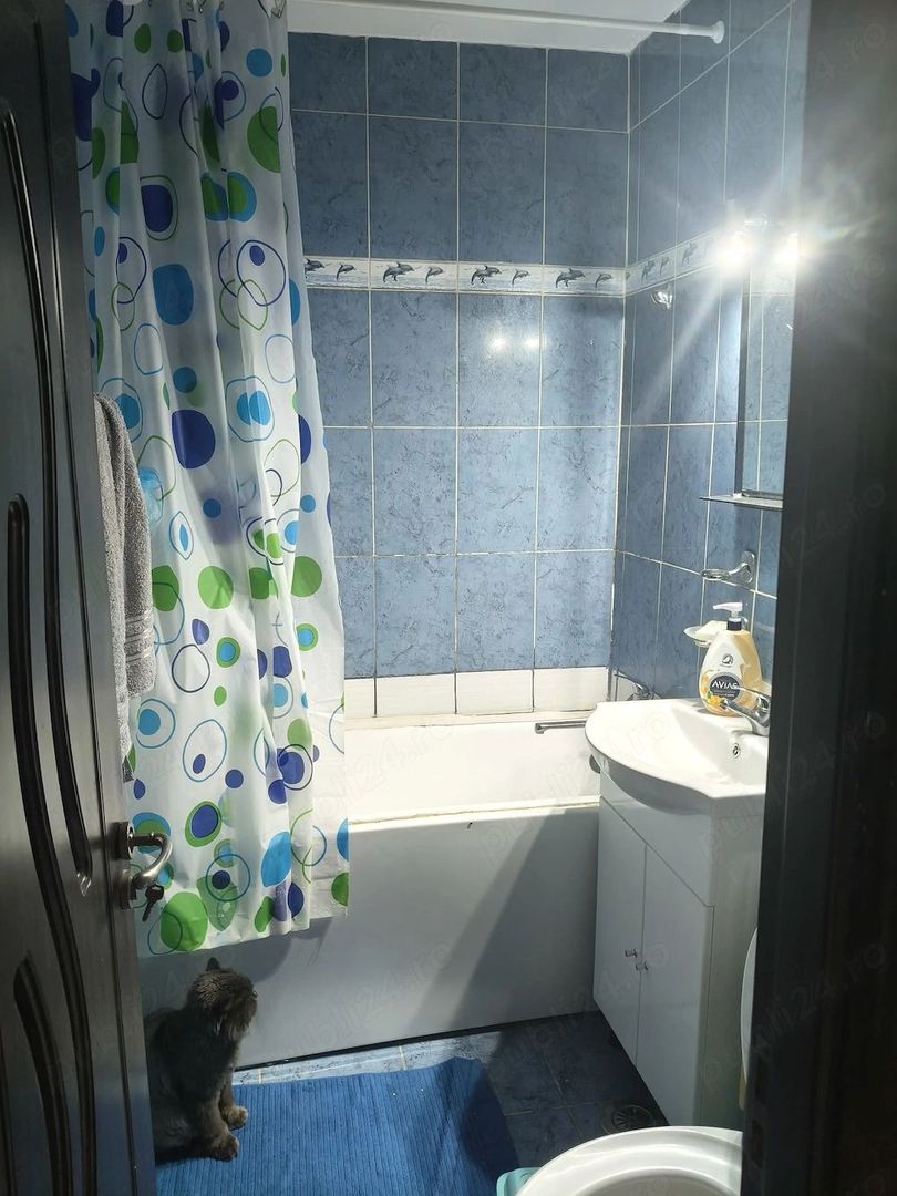 Apartament 3 camere de vanzare, Dr Taberei,etaj3 - Poză 5