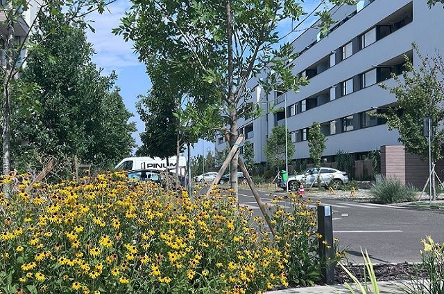 3 camere cu Gradina Proprie Sector 1 - Mall Colosseum - Poză 31