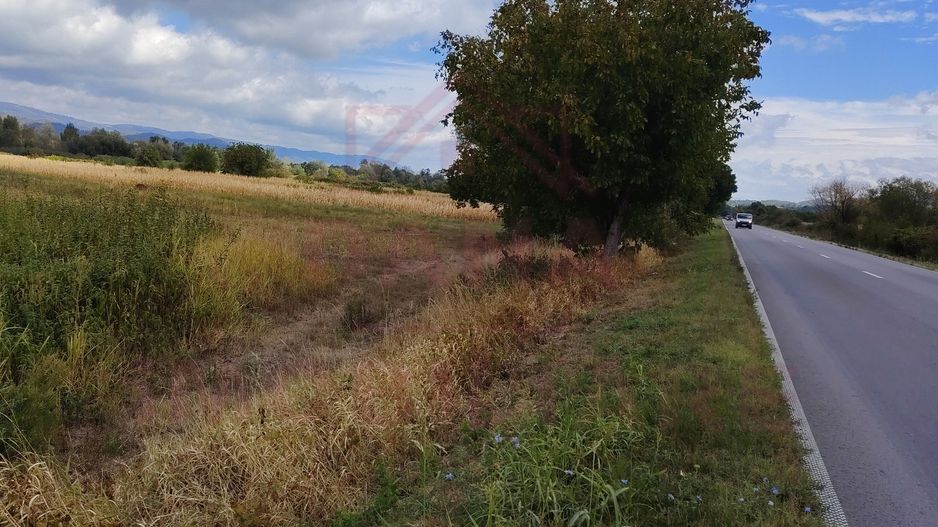 TEREN EXTRAVILAN\ 3678 MP\ OBREJA  JUD. CARAȘ- SEVERIN - Poză 4
