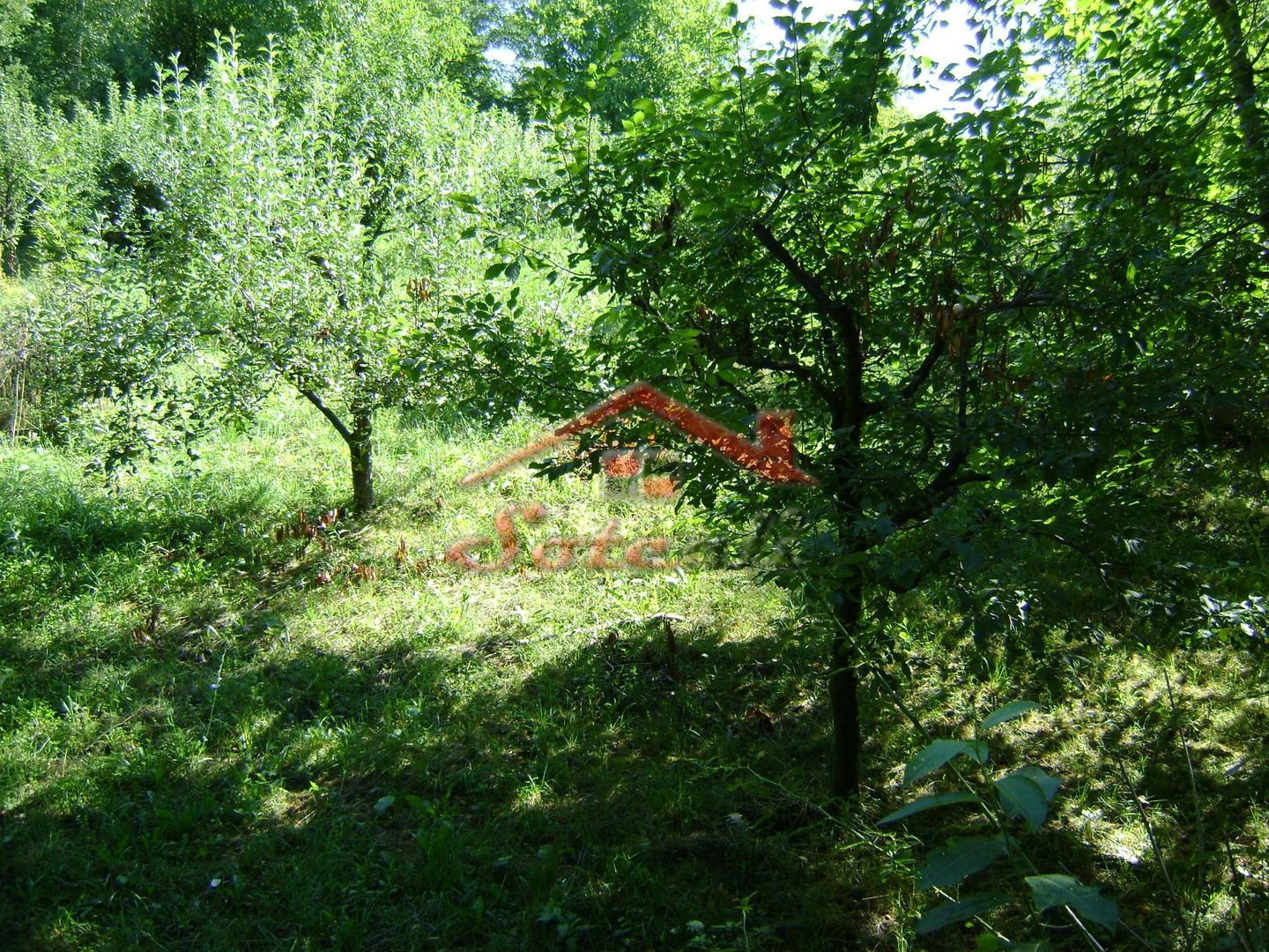 Teren de vânzare în Breaza– zonă liniștită, ideal pentru relaxare - Poză 18