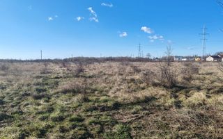 Teren Joita -  Bacu - Dragomiresti - Poză 3