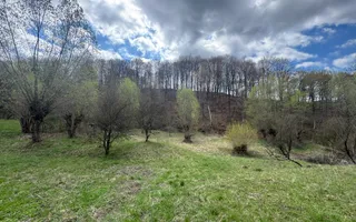 TEREN INTRAVILAN 4365 MP POENARII DE MUȘCEL  JUDEȚUL ARGES - Poză 14