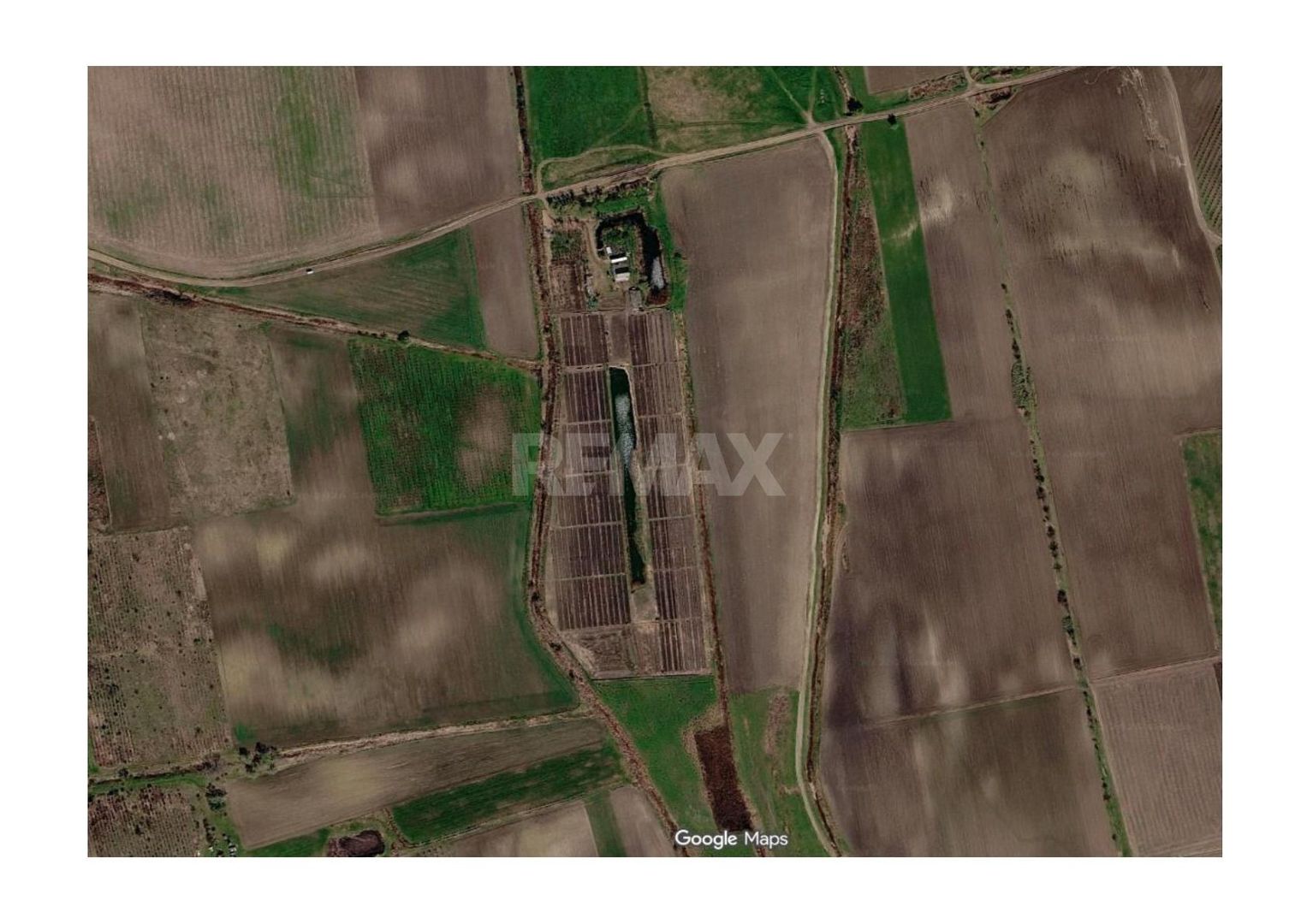 Teren agricol de vânzare – 6,8 hectare cu lac propriu și casă, Nisporeni - Poză 9