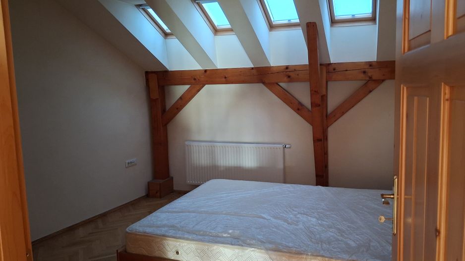 BRASADAS vinde casa in zona Titulescu - Poză 11