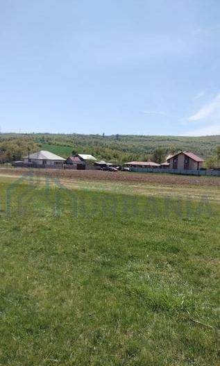 Teren extravilan 7.200 mp, Bordea - Grajduri, oportunitate investiție - Poză 5