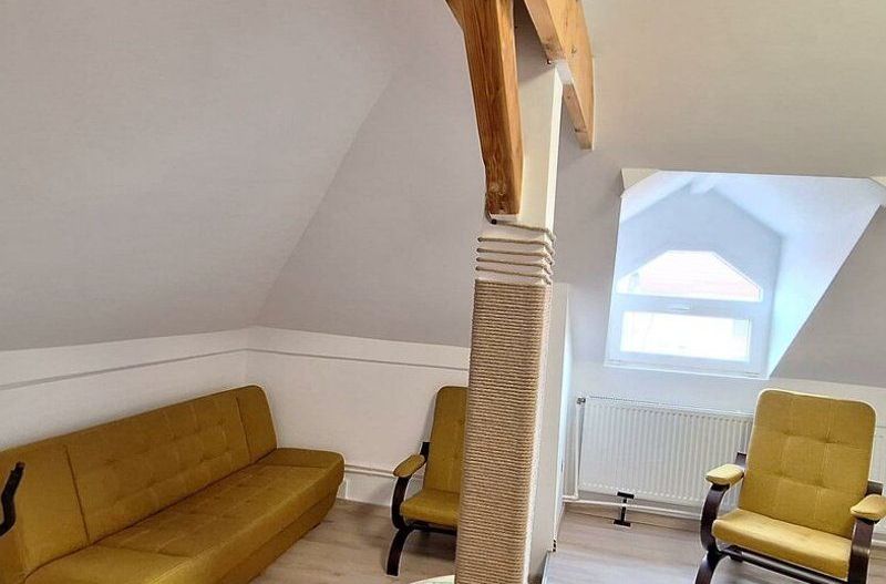 Apartament cochet 3 camere Central- str.Monumentului - Poză 15