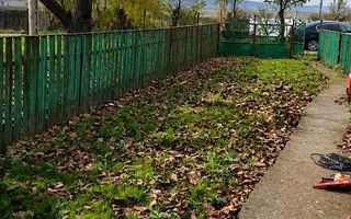 Oază de liniște la doar 27 km de Iași – Teren generos + Casă + Potențial nelimit - Poză 7