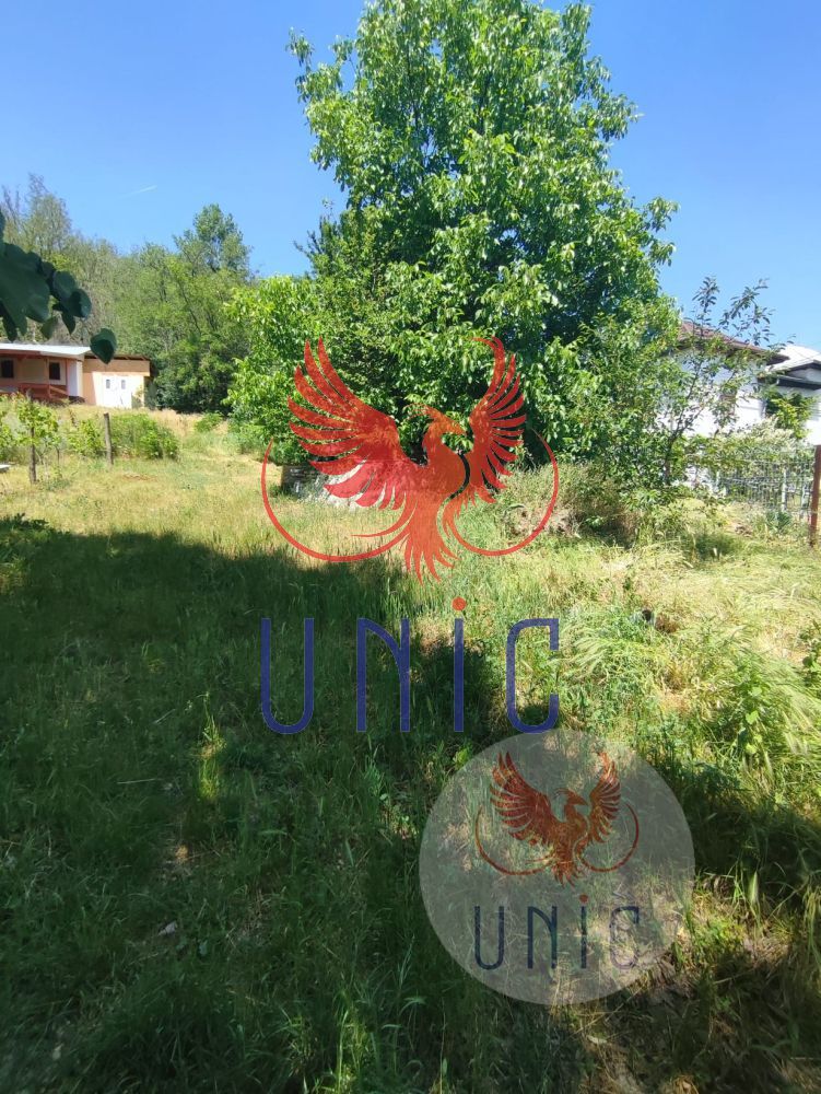 Teren intravilan Cernatesti - Poză 7