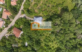 Cornu, Vedere la Padure, Vila D+P+M, 6600mp teren, 4 parcare