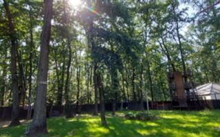 Vila de inchiriat | Corbeanca | 6 camereI pis - Poză 15