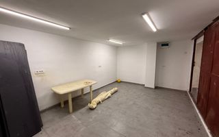 SPAȚIU COMERCIAL MULTIFUNCȚIONAL | GARAJ AUTO | ACCES GRĂDINĂ - Poză 11