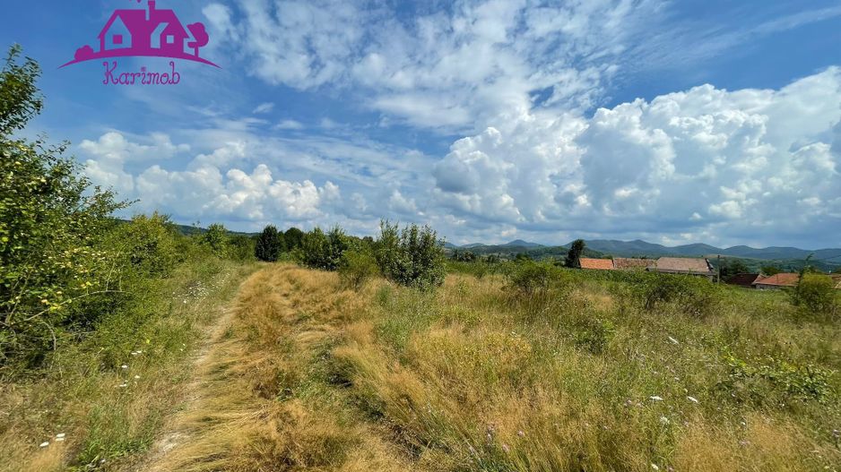 Teren de vanzare in Meziad. - Poză 7