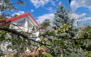 Casă de închiriat în cartierul Bucium, Iași - Poză 1