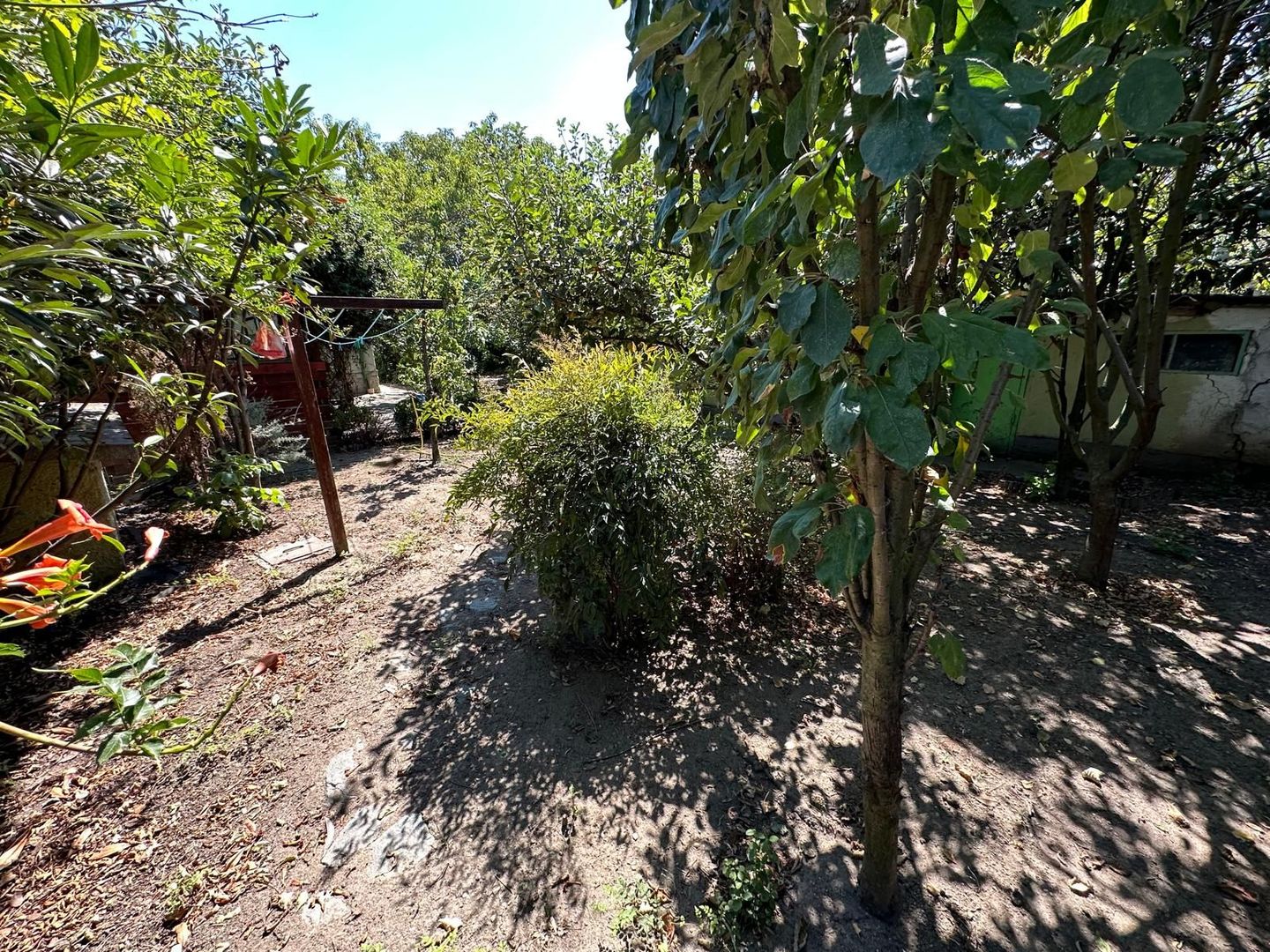 Casa cu teren 1394 mp - Poză 7