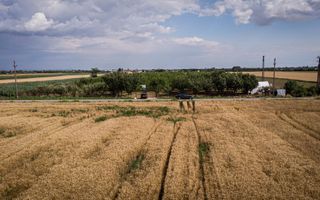 Livadă de nuci altoită și ecologică 2.5ha - Poză 9