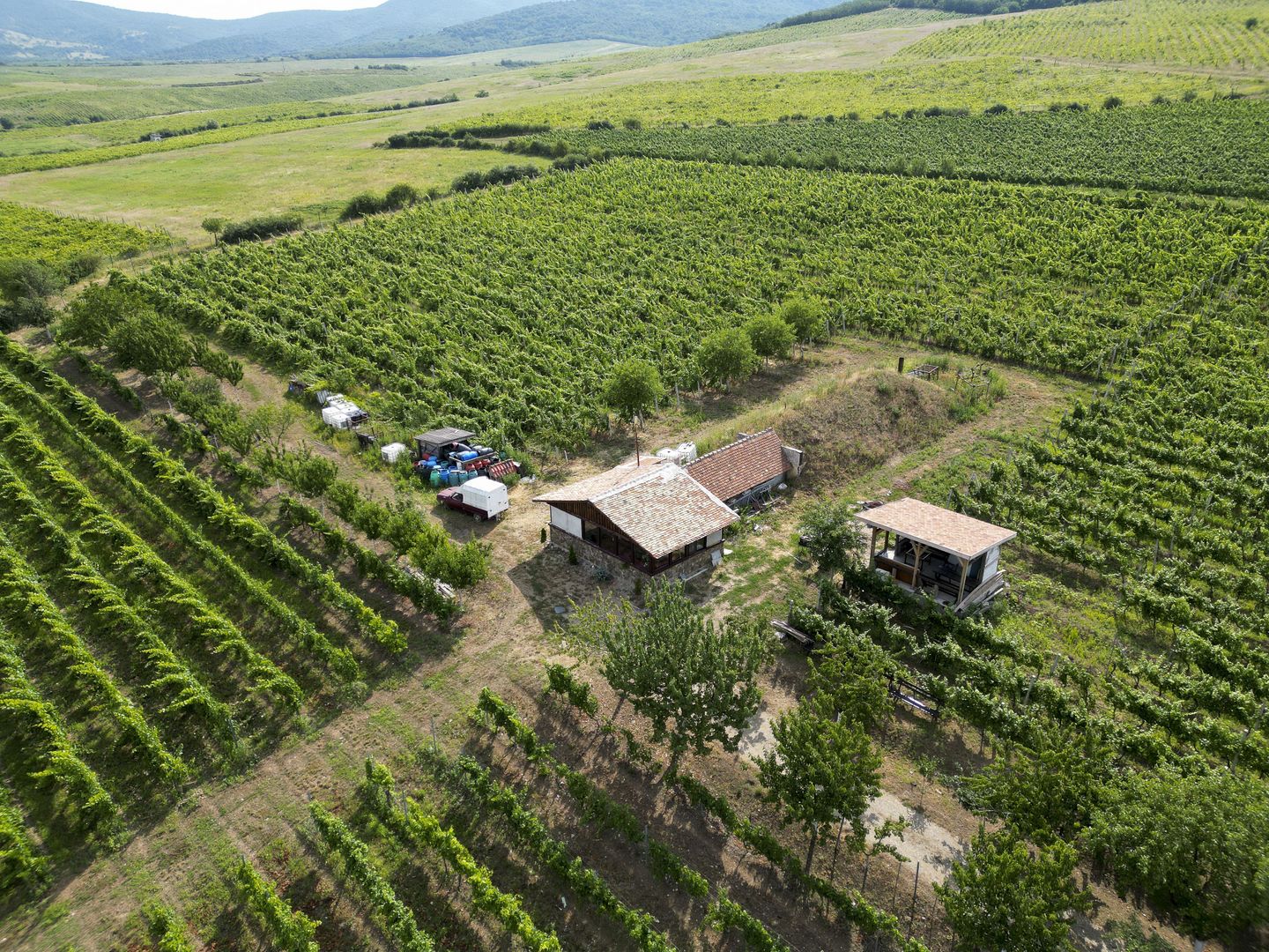 Vie Tradițională „Halta Lupilor” - Poză 23