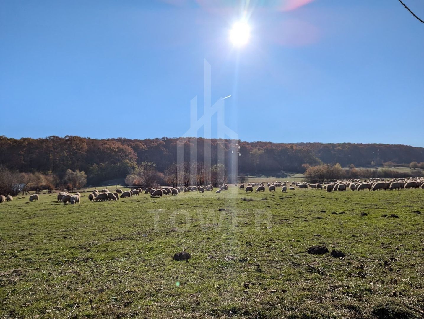 Teren extravilan in Tropinii Noi (Rasinari)-2592 mp - Poză 5