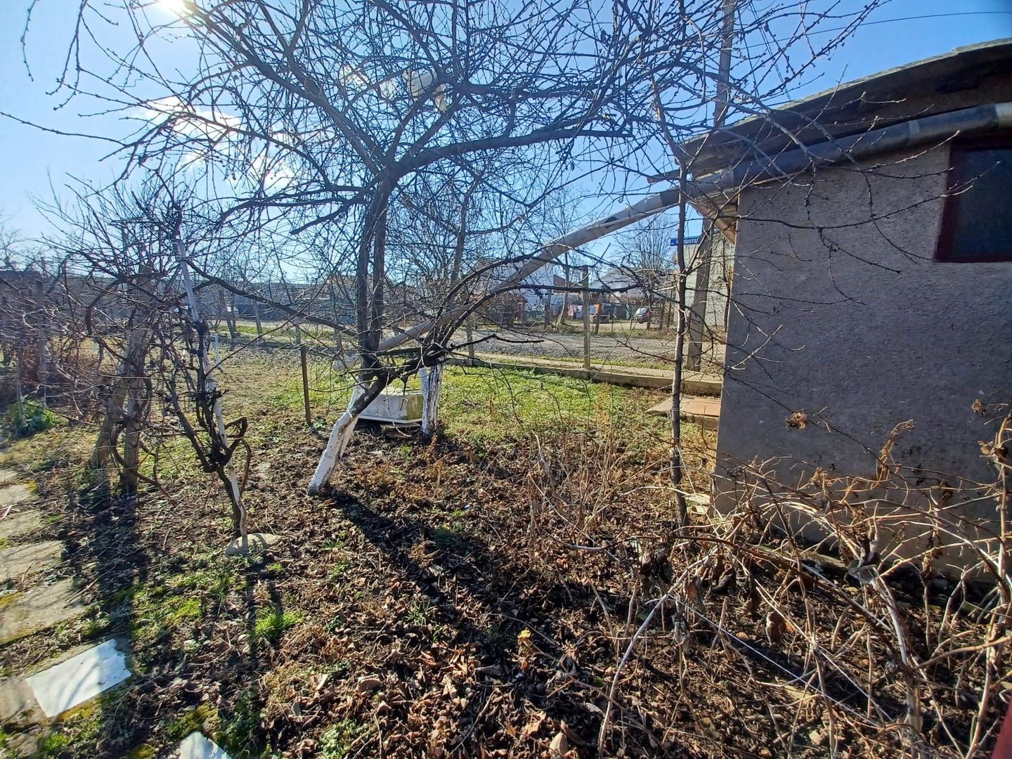 Casă Episcopia, teren 700 mp. 97 500 E (neg). Comision 0. - Poză 8