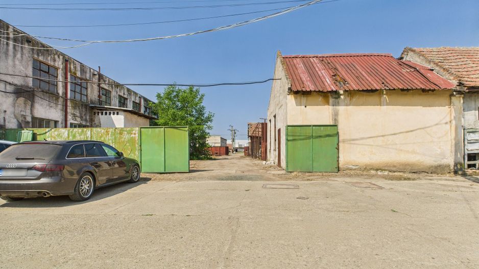 Complex industrial cu hale și teren  în Orțișoara - Poză 8