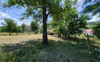 Casa individuala cu teren generos – 8.356 mp – Tichindeal, jud. Sibiu - Poză 47