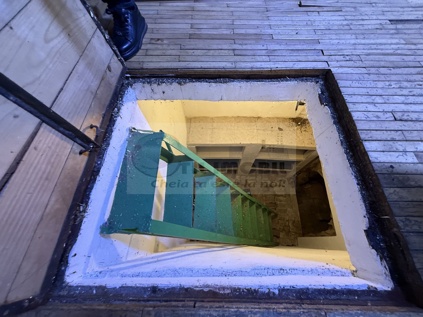 CASA INDIVIDUALA MOARA DE VANT S+P+M BECI GARAJ - Poză 10