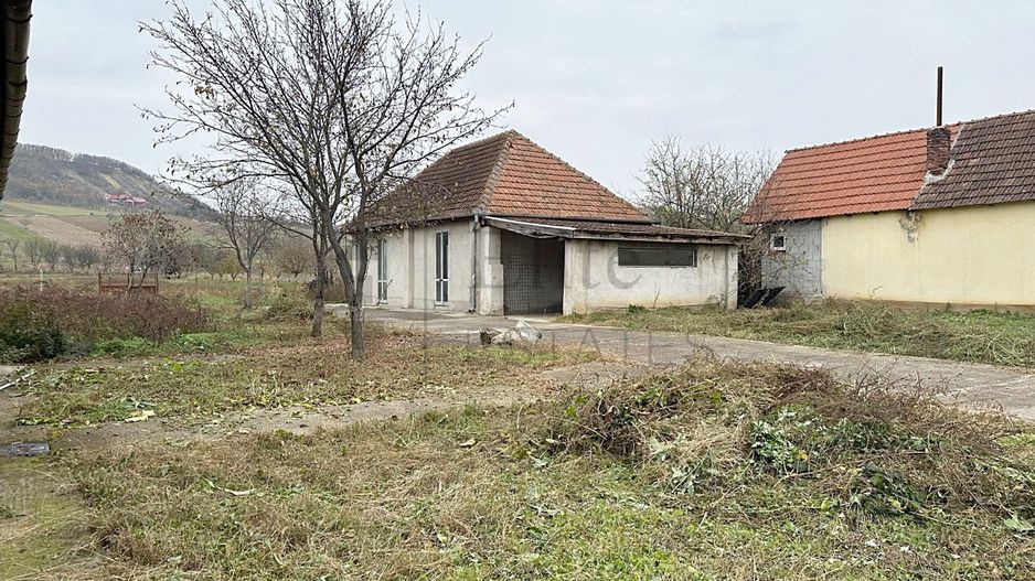 Casa cu 3 Hale si teren 8000 mp in Ulileacu de Cris, Bihor - Poză 9